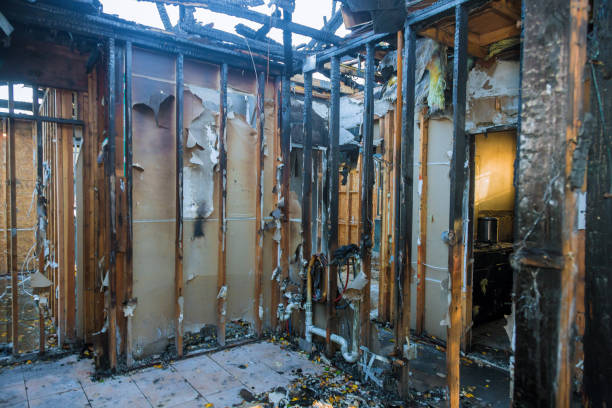 Professional Fire Damage Removal technician working in Broadview Park, FL